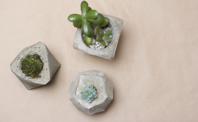 Concrete Planter DIY