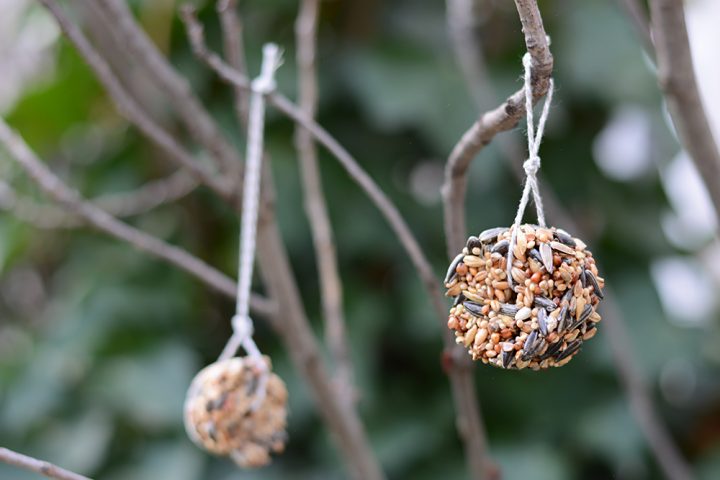 Anhänger für Vogelfutter | we love handmade