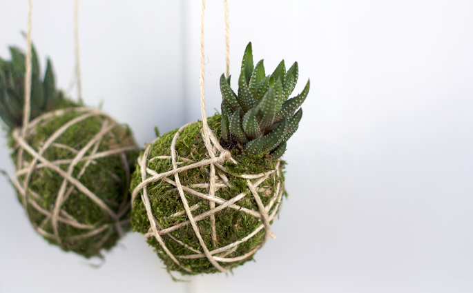 DIY: Kokedama | we love handmade