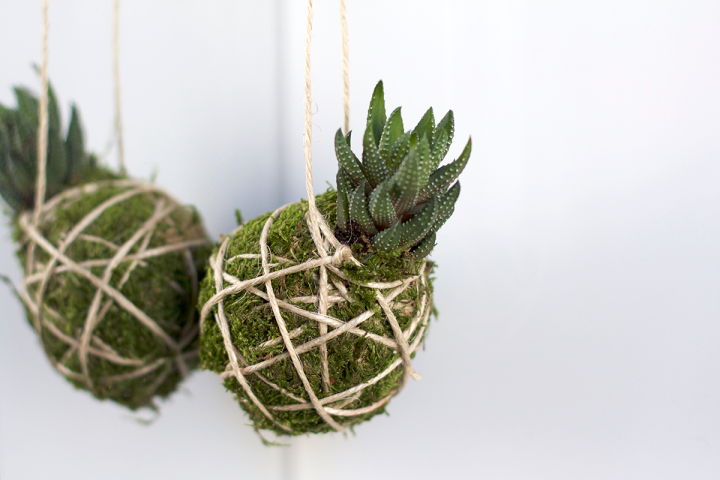 DIY: Kokedama | we love handmade