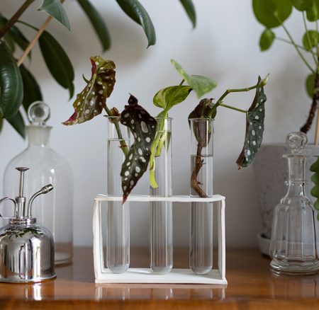 DIY: Anzuchtstation mit Modelliermasse