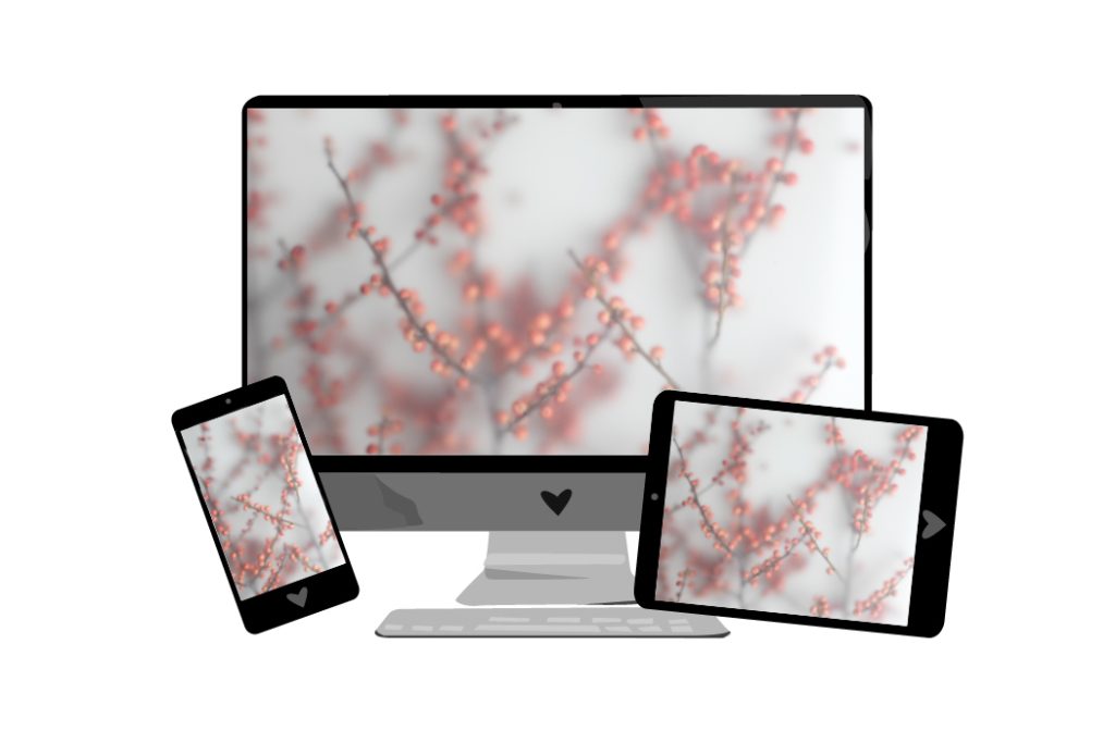 Dezember-Wallpaper: Ilex - Stechpalme | we love handmade