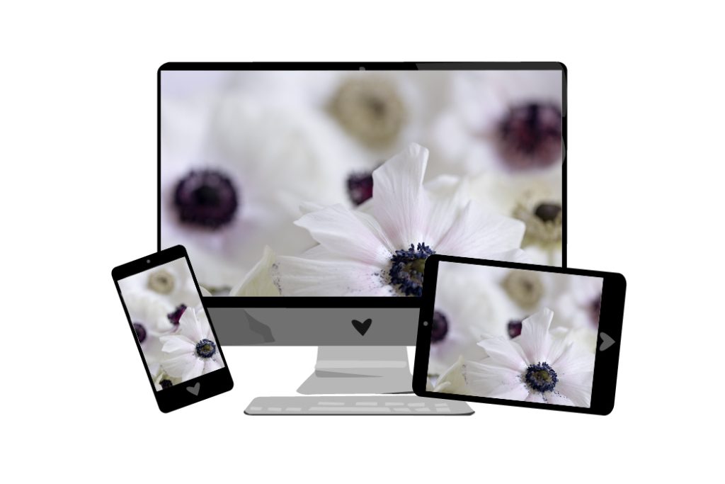 Februar-Wallpaper: Anemonen Blumen | we love handmade