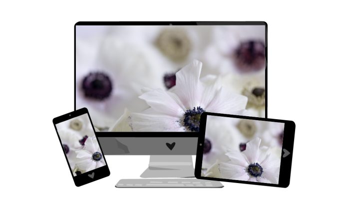 Februar-Wallpaper: Anemonen Blumen | we love handmade