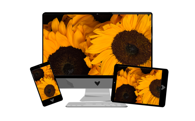 August-Wallpaper 2022: Sonnenblumen | we love handmade