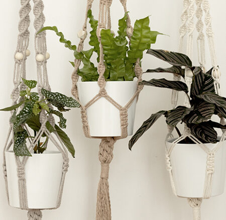 Neu: Unser Craft Kit „Makramee-Blumenampel“